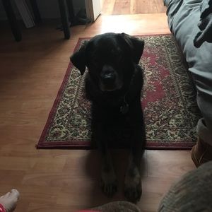 Meet your Posher, Sherri